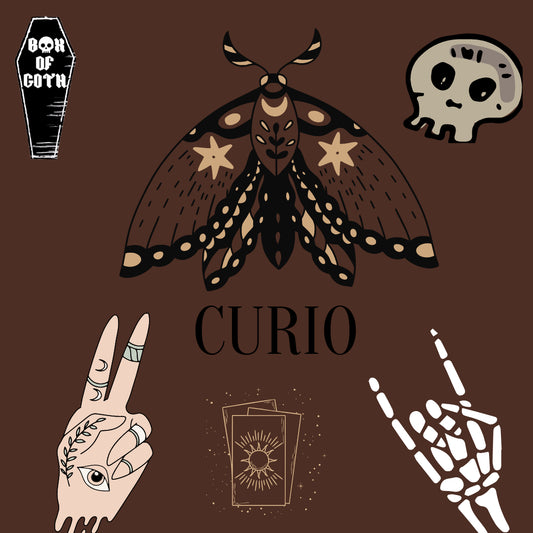 Curio-mystery-box
